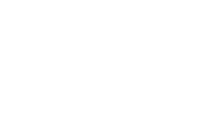 Take Flight Aviation logo
